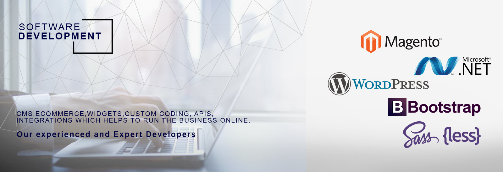 web development company in Delhi, NCR